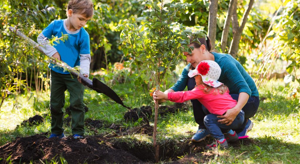 mum and two children planting a tree in the soil